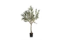 Coco Maison Olive Tree H150cm kunstplant 
